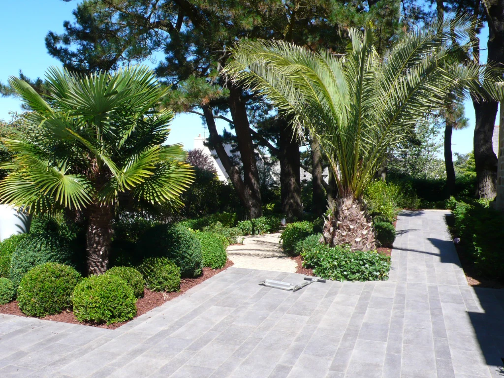 Un jardin avec palmiers et arbustes.